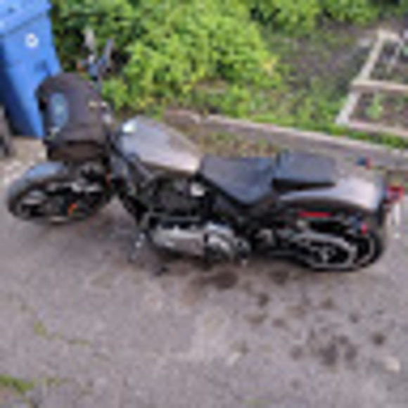 Meet your Posher, Galmyr - Picture 1 of 1